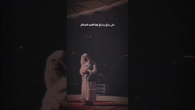 الشيخ توفيق الصايغ - حمام ابن حارث النخعي смотреть онлайн