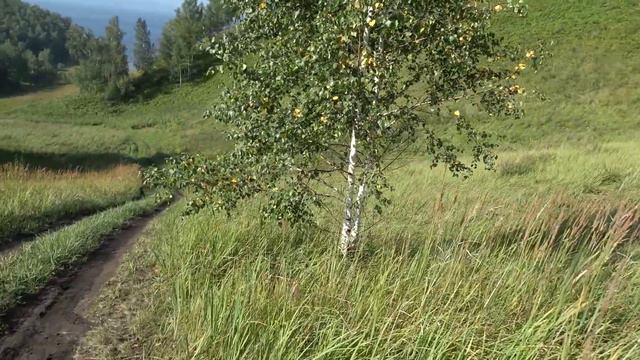 Сон рыбака смотреть онлайн