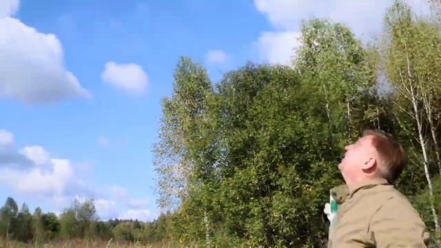 Счастливый билет в новую жизнь: более 40 птиц и животных выпустили в природу смотреть онлайн