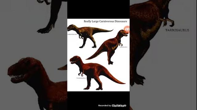 Динозавр туралы малимет смотреть онлайн