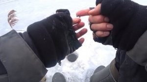 ВОЛОСЫ ВСТАЮТ ДЫБОМ КОГДА ТАКОЕ ВИДИШЬ.  РЫБАЛКА НА ЧЕРТИКА и ВЕДЬМУ. Первый лед 2023