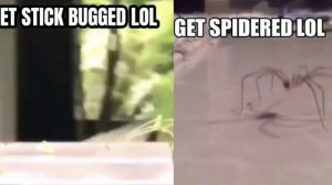Get stick bugged lol & spidered lol (Side by side comparison)