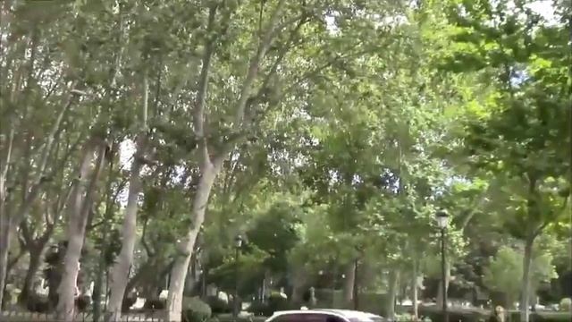 MADRID 2016. PASEO DEL PRADO II смотреть онлайн