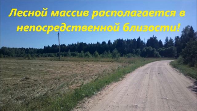 Новогодний - ТЕЛЕШИ смотреть онлайн