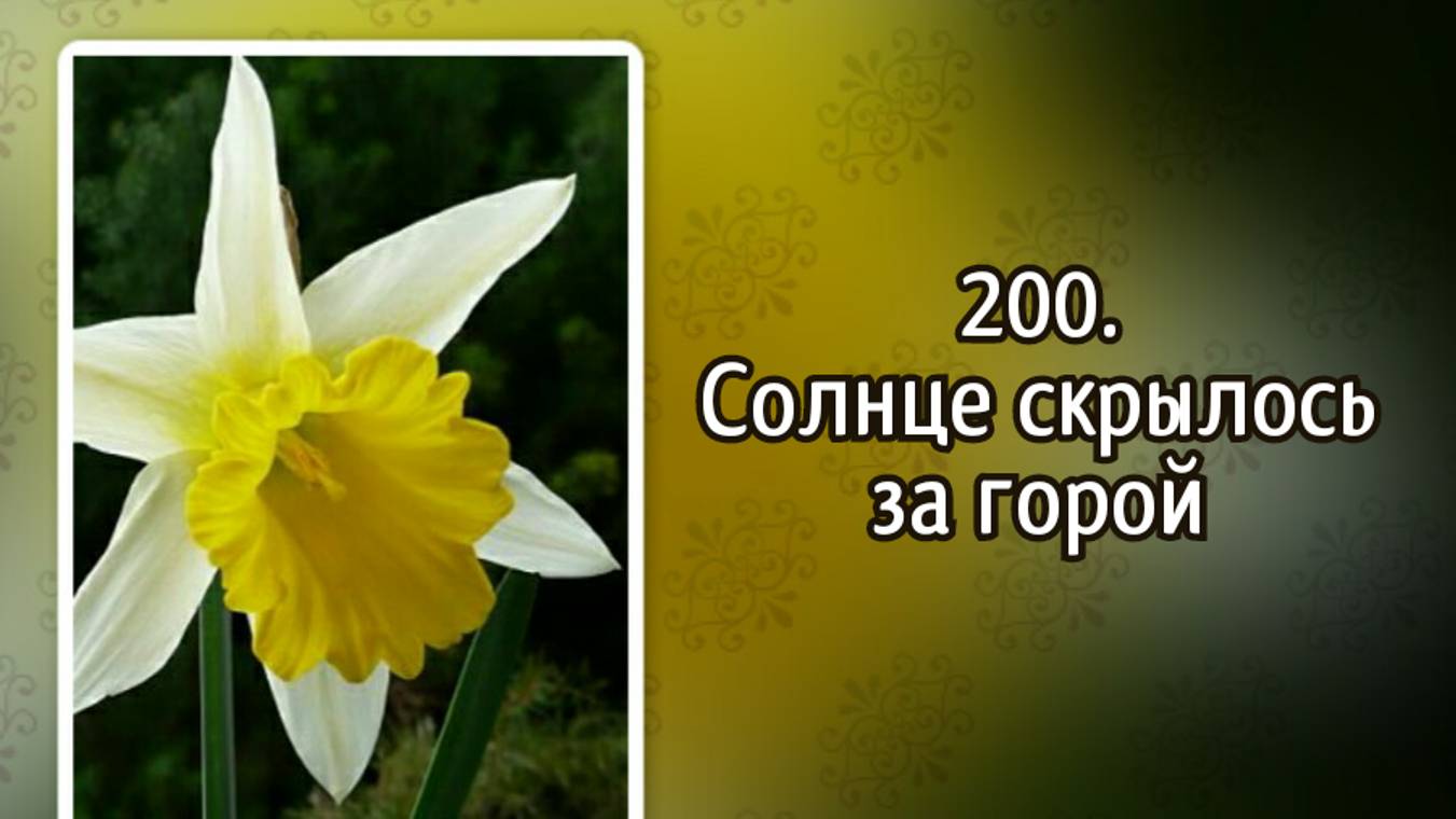 Гимны надежды 200 Солнце скрылось за горой (-) смотреть онлайн
