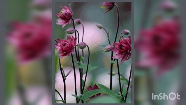 КАК ЧУДОТВОРИЛА ПРЕСВЯТАЯ БОГОРОДИЦА.... смотреть онлайн