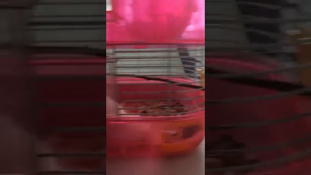 Степанида смотреть онлайн