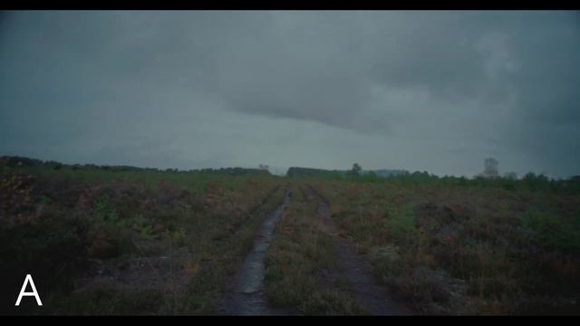 MY LUMIX S5 SETTINGS FOR CINEMATIC FILMMAKING USING MANUAL FOCUS VINTAGE LENSES 4K смотреть онлайн