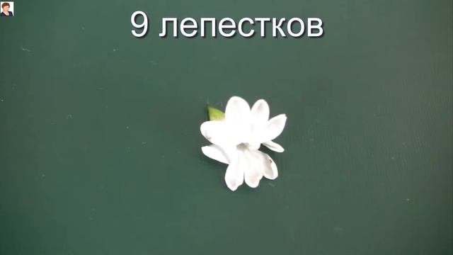 ИСКАЛА Я В ВЕТКЕ СИРЕНЕВОЙ СЧАСТЬЕ (lilac flowers) смотреть онлайн