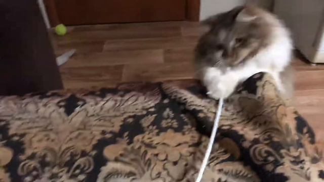 Со мной скучно 😑 не бывает!!! смотреть онлайн