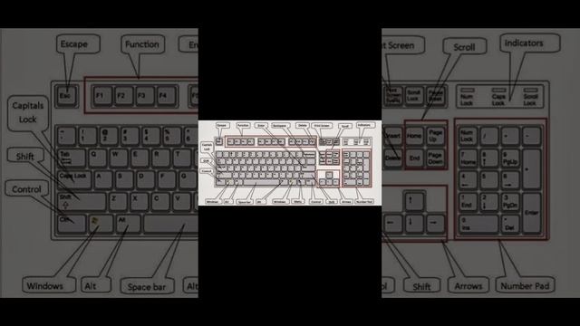keyboard names in tamil #shortvideo #coding #tamil #python #cs #keyboard #java #html смотреть онлайн