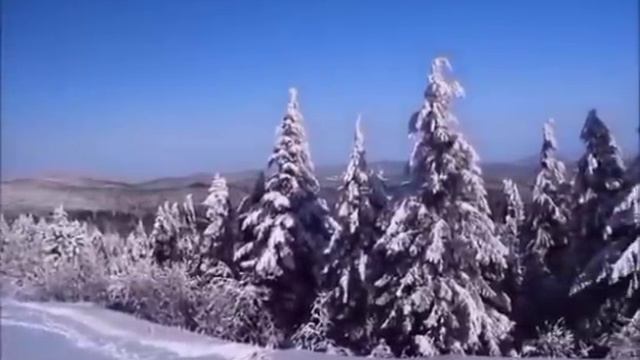 мы родились в//трудоголики//обзор канала смотреть онлайн
