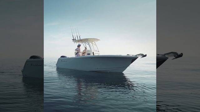 SAILFISH 241 Center Console смотреть онлайн
