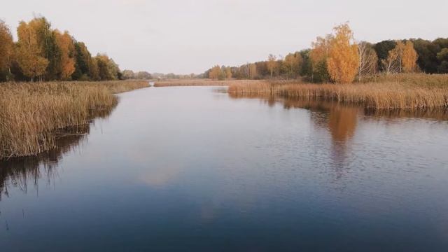 Как и на что ловить леща в сентябре? Крупный лещ в сентябре на что клюет и где его искать? смотреть онлайн