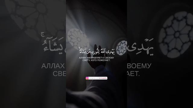 Мухаммад Люхайдан сура Ан-Нур красивое чтение Корана смотреть онлайн