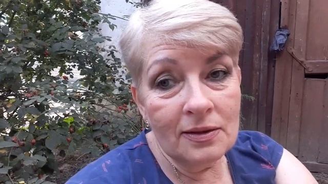 VLOG 243 Уксус и графин/ Свобода/Скрытая камера/ смотреть онлайн