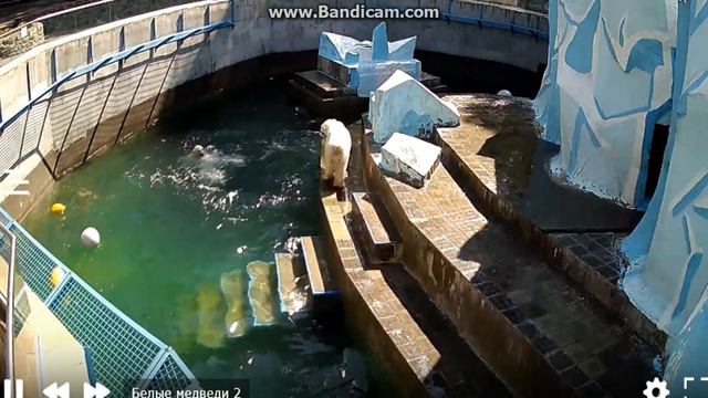 Очень веселое утро у мишек ( ч.1). 30.04.20 г. смотреть онлайн