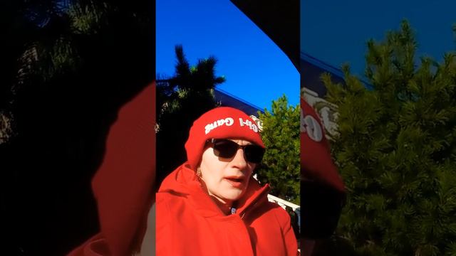 Хакамагеддон. Последнее лето детства смотреть онлайн
