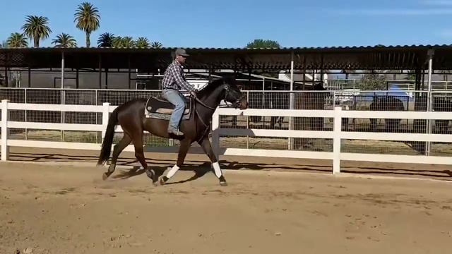 Waltz N’ Vienna PF смотреть онлайн