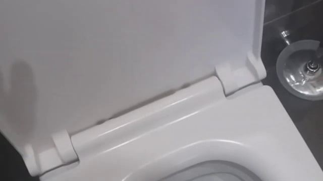 Я не могу сходить в туалет.ШОК у меня в туалете поселился FINESLORD!!!! смотреть онлайн