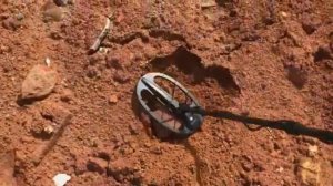 Gold Finder FS2 working on the clay soil