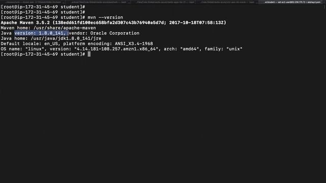 Project 1 (Microservices, Database and Angular Deployment) - Part 3 смотреть онлайн
