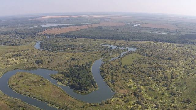State Reserve "Voroninskiy" смотреть онлайн