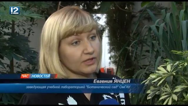 Фейхоа распустилась! Не смотря на сибирские морозы в Омске зацвели экзотические растения! смотреть онлайн