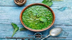 Молодая крапива: полезные свойства + рецепты