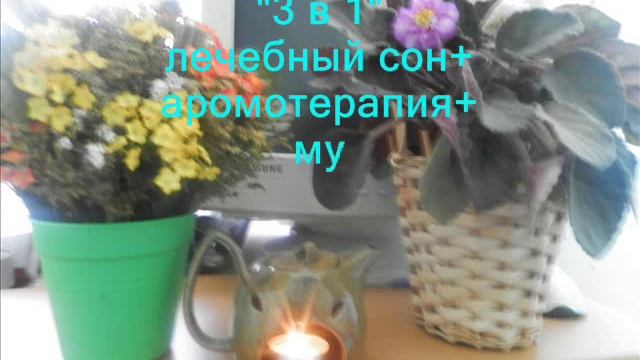 Лечебный сон - Герасименко Е.В. смотреть онлайн