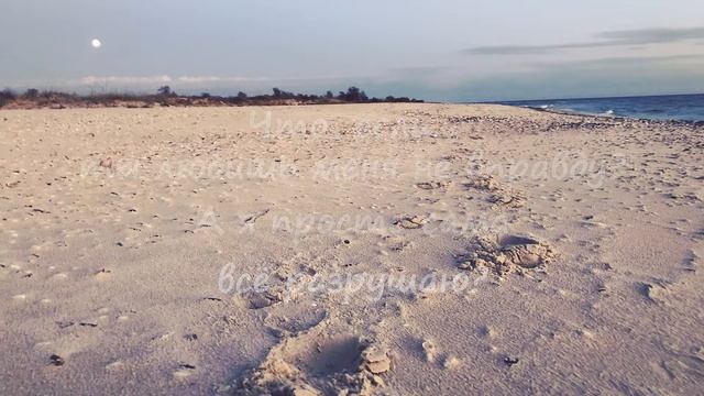 Sonorous Poetry - Что, если? / What if? (lyric video) стихи смотреть онлайн