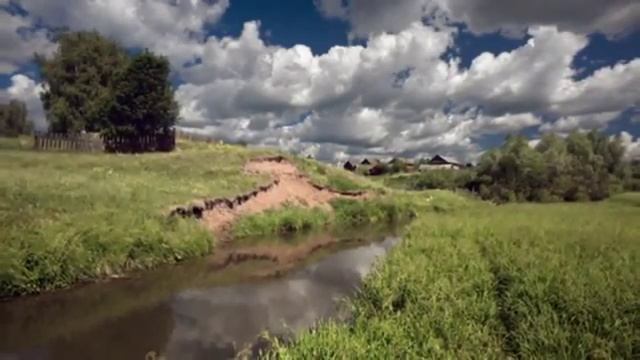 РОЗЫ С МОЛОДОГО САДА АВФ смотреть онлайн