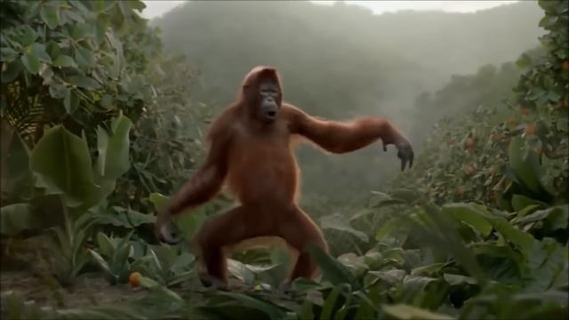 Me and my monkey song (1 HOUR) смотреть онлайн