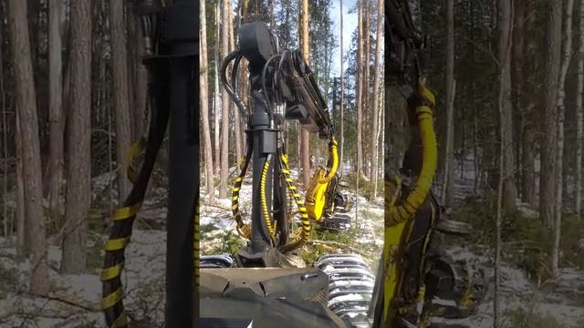 Валочная машина валит лес смотреть онлайн