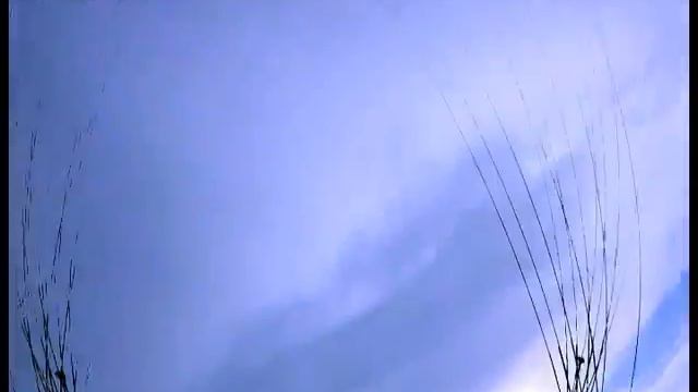 петра дубрава 27.05.2012 пассажир иностранец).mp4 смотреть онлайн