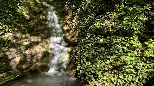 Своим ходом. Берендеево царство. Сочи 2022. Однодневные прогулки. ВЛОГ смотреть онлайн