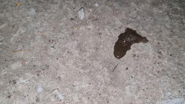 Промываем радиатор печку ланос аккумуляторной кислотой быстро и эффективно смотреть онлайн