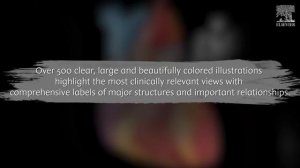 Atlas of Human Anatomy, 7th Edition (International Edition) By Frank H. Netter