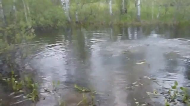 НОВИНКА!ПОДБОРКА АВТО ПРИКОЛОВ смотреть онлайн