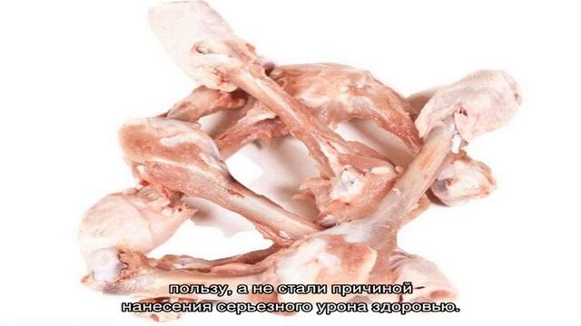 Куриные лапы для собак, а также головы: можно ли давать смотреть онлайн