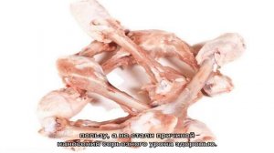 Куриные лапы для собак, а также головы: можно ли давать