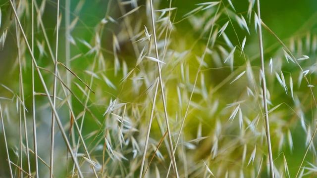 10 марта - Счастливый день. Вселенная открывает все дороги | Лунный Календарь смотреть онлайн