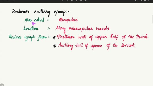 AXILLARY LYMPH NODES||ANATOMY смотреть онлайн