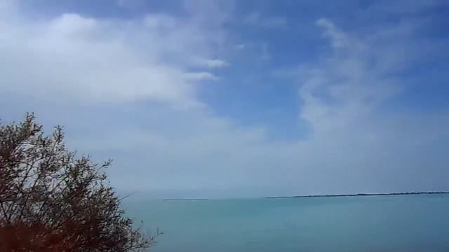 С берега озера Балхаш вид на скалу Старой площадки на фоне зарослей кустов смотреть онлайн