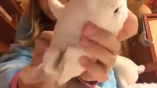 Мои морские котики! ?Всем смотреть! смотреть онлайн
