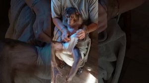 "Ринусин вечерок" 🤗