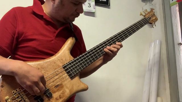 Warwick Thumb Bass 5 Bolt-on EMG vs MEC Pickups смотреть онлайн
