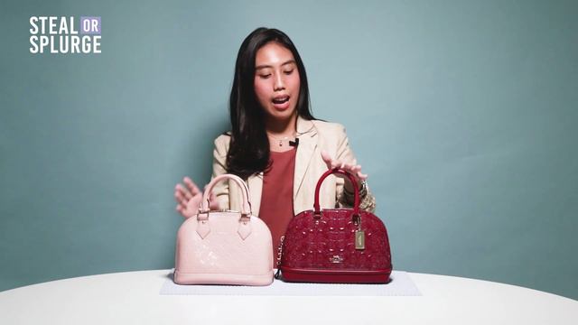 STEAL OR SPLURGE: Coach Sierra vs Louis Vuitton Alma BB смотреть онлайн