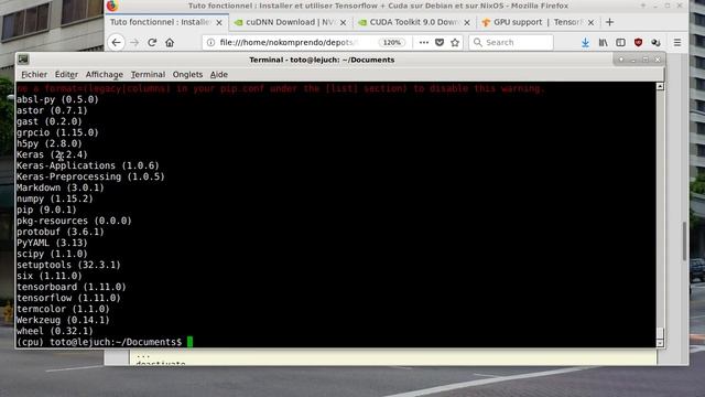 tuto fonctionnel 28 : Installer et utiliser Tensorflow + Cuda sur Debian et sur NixOS смотреть онлайн