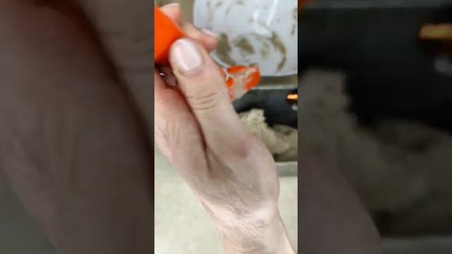 Кулинарное творчество для всех возрастов 